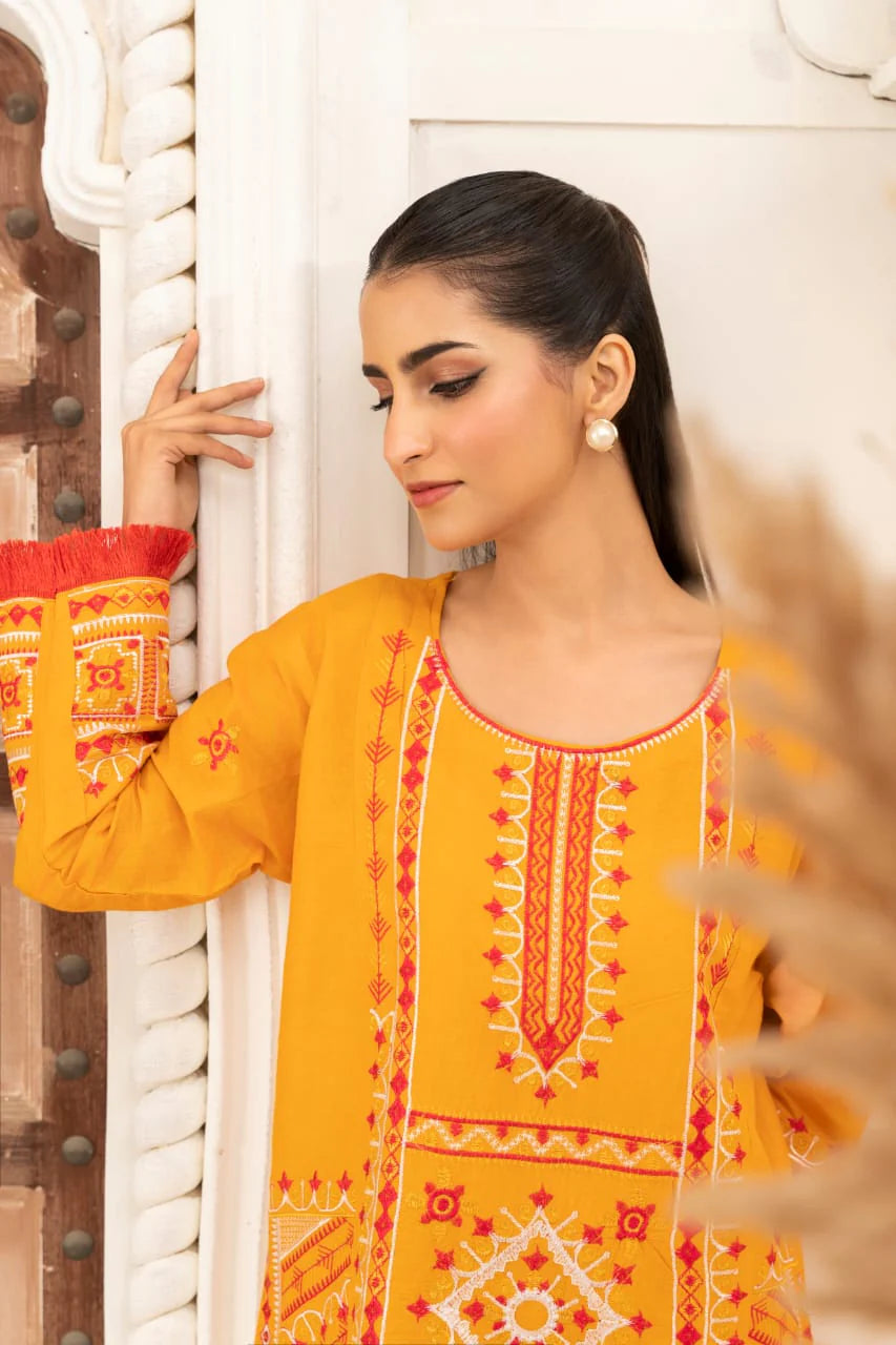 Elegant Embroidered Linen Suit 2 Piece Stitched
